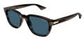 Mont Blanc MB0302S Havana / Blue Lens (011) Sunglasses - Color Image